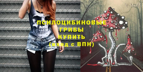 ПСИЛОЦИБИНОВЫЕ ГРИБЫ Струнино