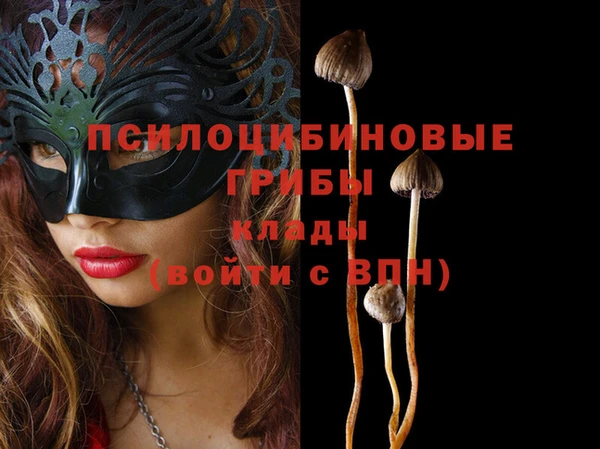 скорость Белокуриха
