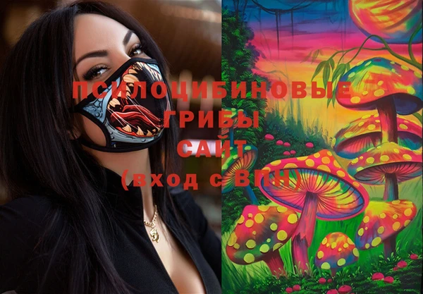 скорость Белокуриха