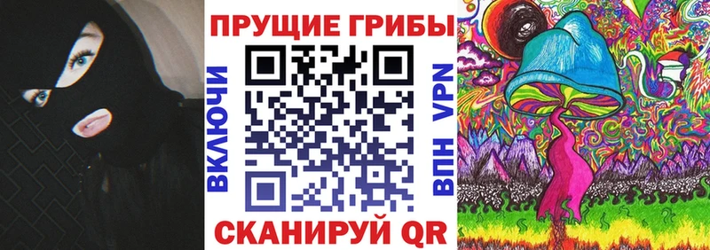 Псилоцибиновые грибы GOLDEN TEACHER  Красный Холм 